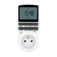 French Digital Daily Weekly Countdown Timer Switch Socket